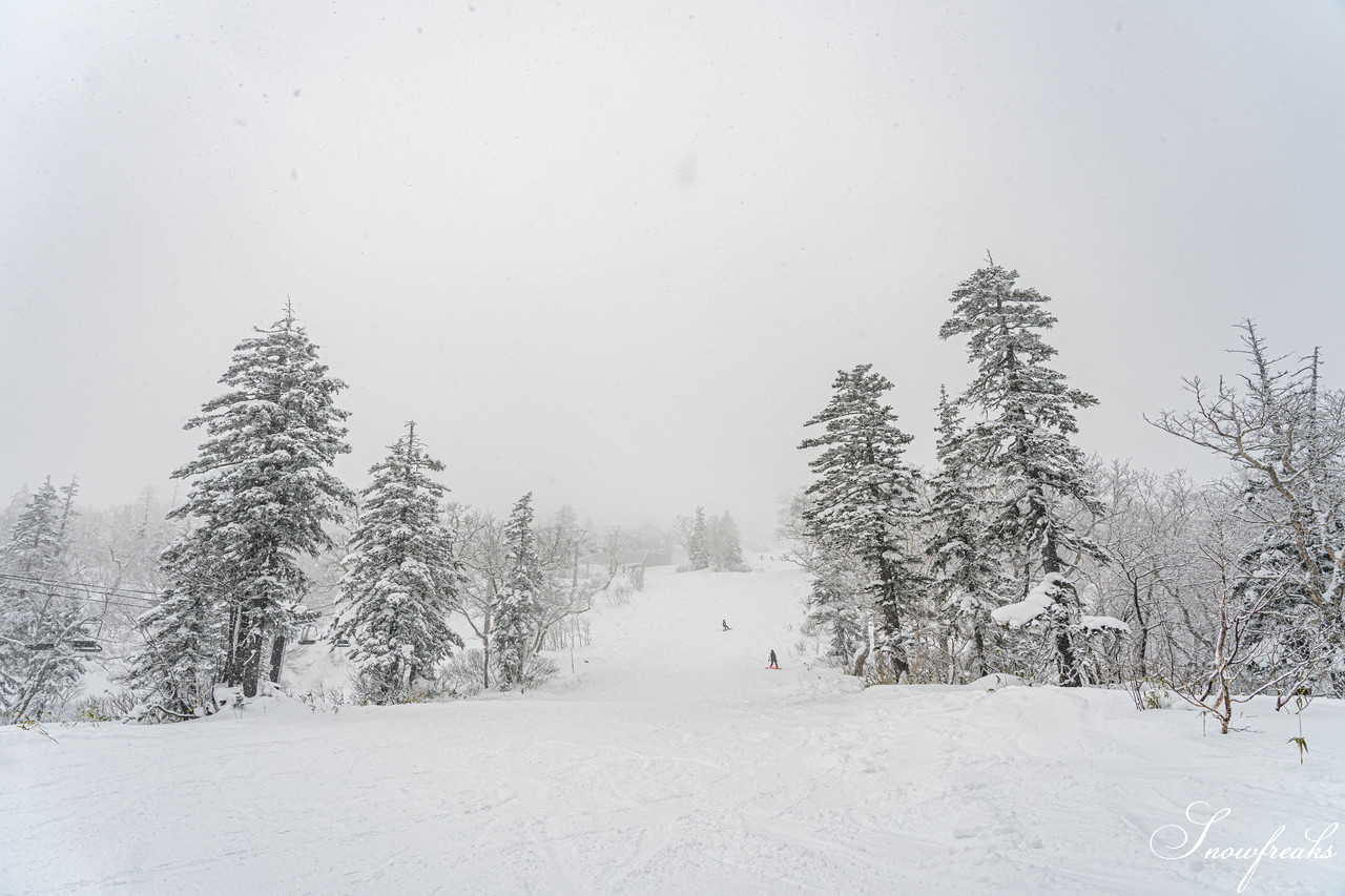 層雲峡黒岳ロープウェイスキー場　積雪170cm、雪質はパウダースノー。やはり、黒岳は別格のコンディション！